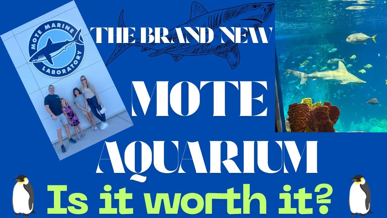 Первый взгляд на НОВЫЙ аквариум Mote Marine в Сарасоте!