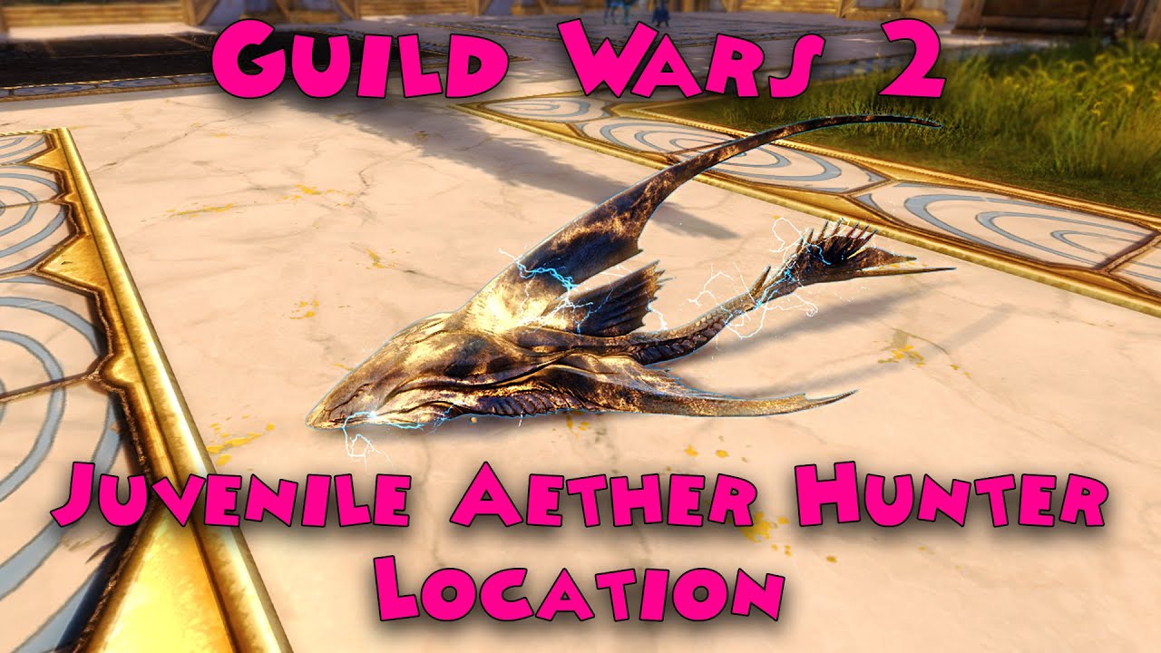 Read more about the article Guild Wars 2 – Juvenile Aether Hunter Location