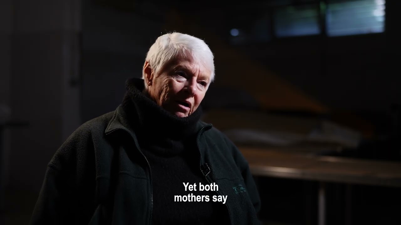 DETEKTOR TV 182: Misidentification of Missing Reopens Bosnian War Wounds