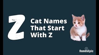 20 Best Cat Names That Start With Z | Boy and Girl Cat Names by NamesEpic 5,306 views 2 years ago 1 minute, 40 seconds