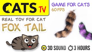 GAME FOR CATS - Catch real raccoon tails 🦝 3 HOURS [CATS TV] 60FPS screenshot 5