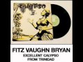 Fitz Vaughan Bryan - Volare&#39;