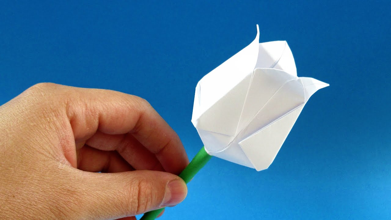 Easy Paper Tulip Origami Flower YouTube