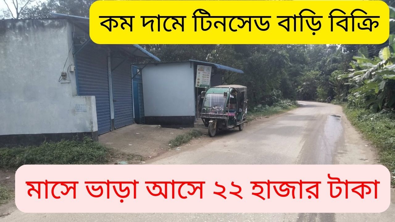 Продается дом в Тиншеде с участком по низкой цене | Инвестиции в недвижимость | Продажа коммерчес...