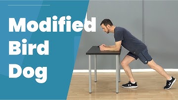 Easy Core Exercise - Modified Bird Dog (Perfect if you can
