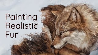 Painting Realistic Fur • Krita Speedpaint by Noctualis 36,066 views 5 years ago 6 minutes, 5 seconds