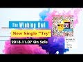 The Winking Owl - &quot;Try&quot; Official Teaser