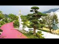 Tùng La Hán & Thông Đen quy tụ dưới chân Đại Bảo Tháp Mandala Tây Thiên | Gã Đầu Bạc - Vua Tùng