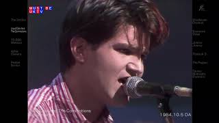 Lloyd Cole and the Commotions - Rattlesnakes Live 1984