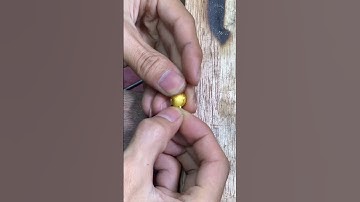 Ngày Vía Thần Tài Sắp Đến. Zl 0368969111