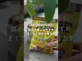 🍀弱った株におすすめ　まくだけ簡単な活力剤🍀【☘Life with Houseplant】2608-9#shorts