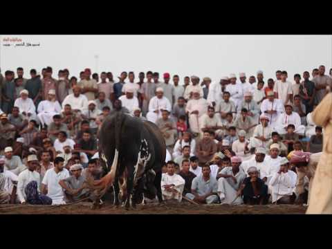 بحرالنيل والمارد