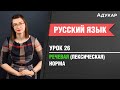 Речевая (лексическая) норма| Русский язык