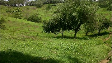 Maria Varilla - Banda 19 de Marzo de Laguneta