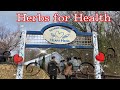 Heart herb garden/ herbs for health #herbgarden  #japanlife #pinayvloggerinjapan #tazawako