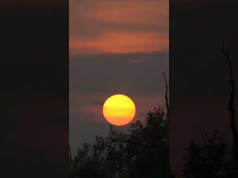 ١٩ سبتمبر ٢٠٢٤