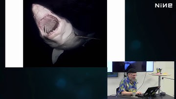 MeetUp with Michael Bolton | Testing Deep and Shallow