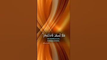 قرآن كريم  الايه 14من سوره التغابن