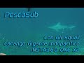 PescaSub con gli Squali INSTA360 ONE X2