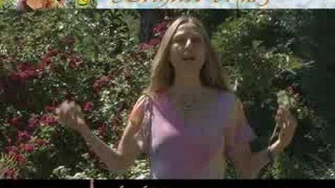 Brigitte Mars: Yarrow