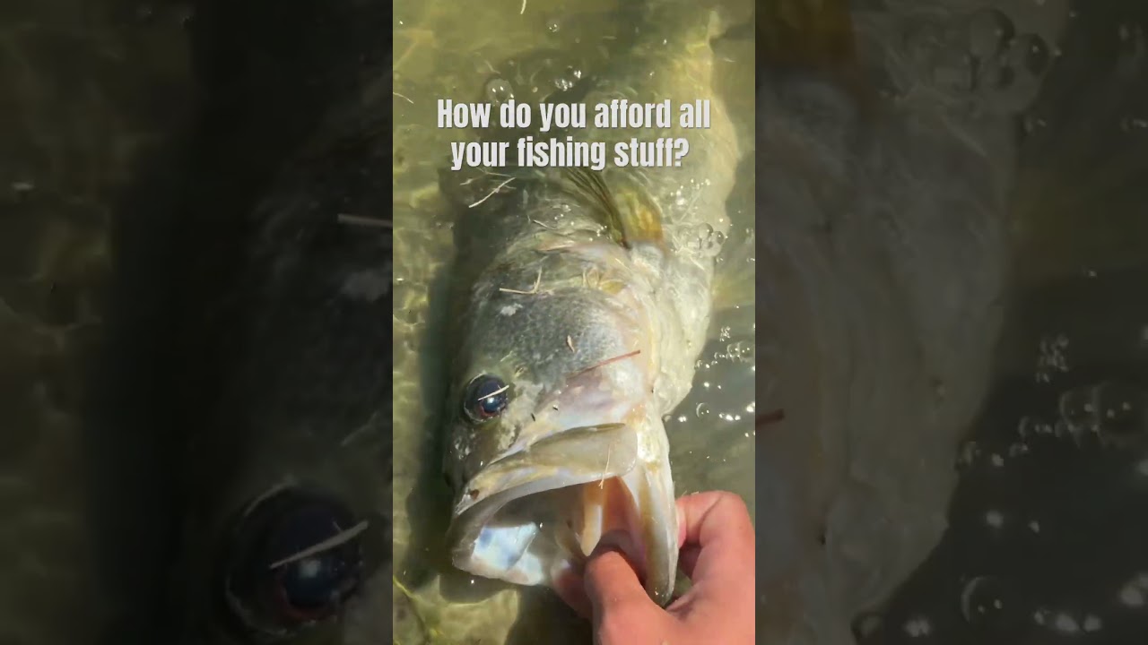 How do you afford all your fishing stuff? #fishing