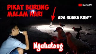 Ngahatong || pikat burung tikusan malam hari dipedesaan Bogor barat