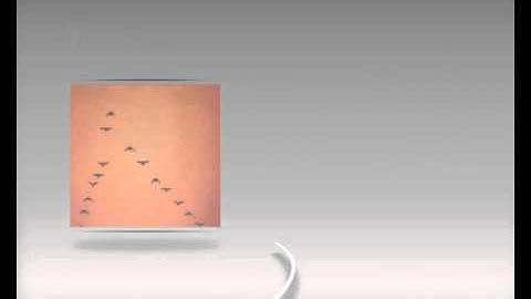 يوسف العيدروس هذا السنه غير من سورة سبأ2