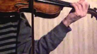 Wolfgang Amadeus Mozart Twarz Duett 8 Allegro violine.avi