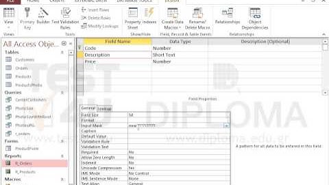 Locate the Description field of the open table and apply an input mask displaying the word new...