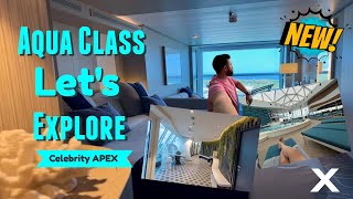 Celebrity Celebrity Apex | Aqua Class cabin 10229 | Full Tour and Review Net Worth