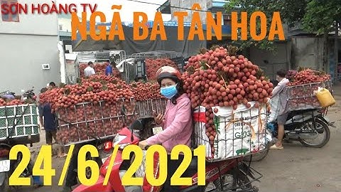 Cập nhật giá vải thiều lục ngạn mới nhất 24/6/2021 tại ngã ba Tân Hoa