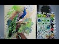 How to paint a peacock in watercolor  step by step