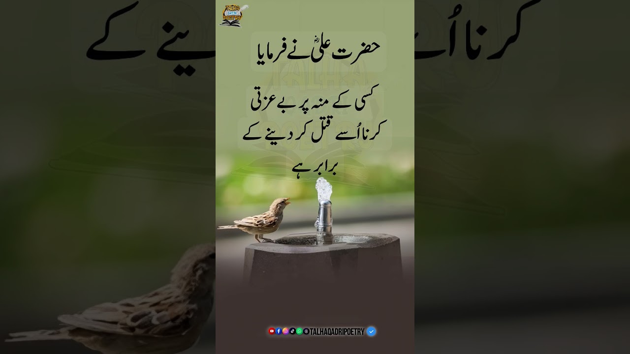 Teaching of Hazrat Ali (R.A) 