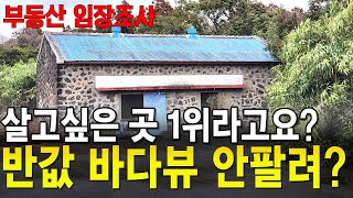 폭락 바다조망과 멋진 제주도 돌 창고 카페 토지 땅도 포기