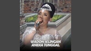 Wadon Selingan (Live)