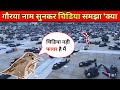 कैसे गोरैया से पंगा लेना' चाइना को पडा भारी | The Four pests campaign in China |