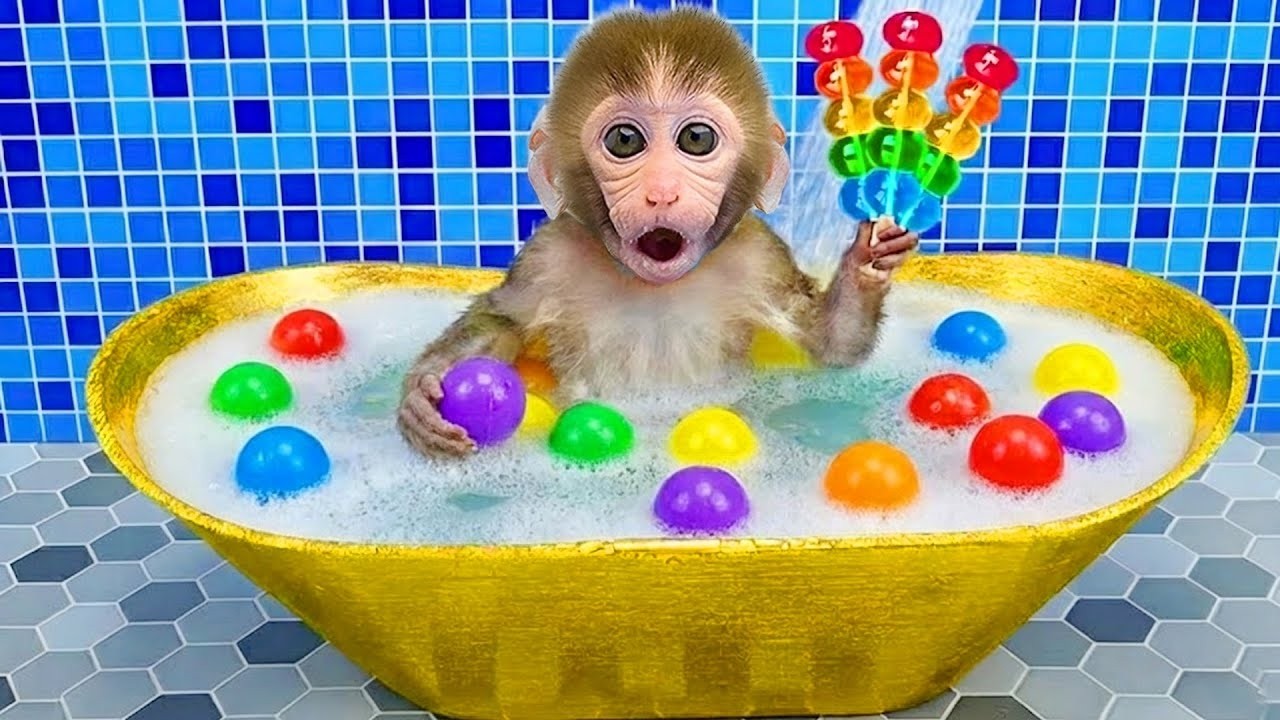 Baby Monkey Bon Bon Explores an Automatic Juice Machine and Rescues a Lost Duckling