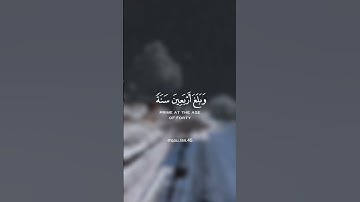 ﴿ووصينا الإنسان بوالديه حسنا...﴾ تلاوة عطرة للقارئ الشيخ إسلام صبحي ✨