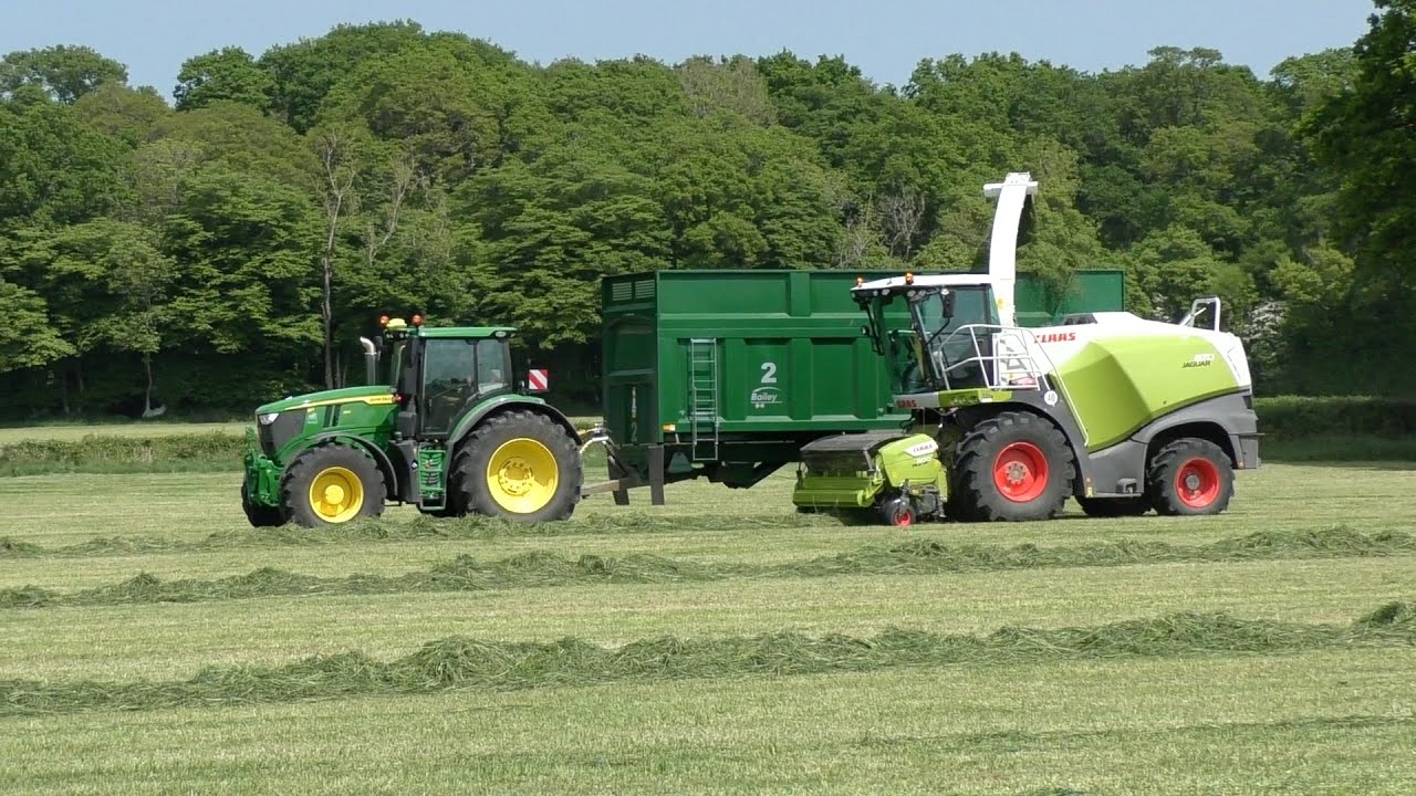 Silage 2025 - Brand New Claas Jaguar 870 Chopping Grass (2/2)
