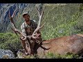 Two Stags in Two Months - Main Divide NZ