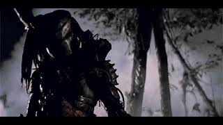 Predator Gif