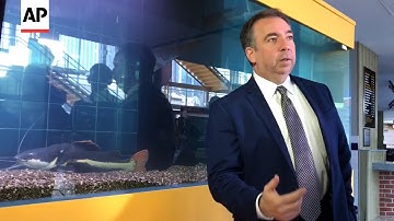 Nashville Predators Unveil New Catfish Tank in Arena