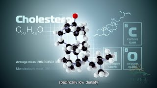 Decoding LDL Cholesterol Your Key to Heart Disease Prevention. What causes high cholesterol. Net Worth