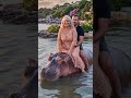 PASSEANDO COM MEU AMOR NO HIPOPOTAMO #shorts  #hipopótamo  #animaisfofos  #paisagem