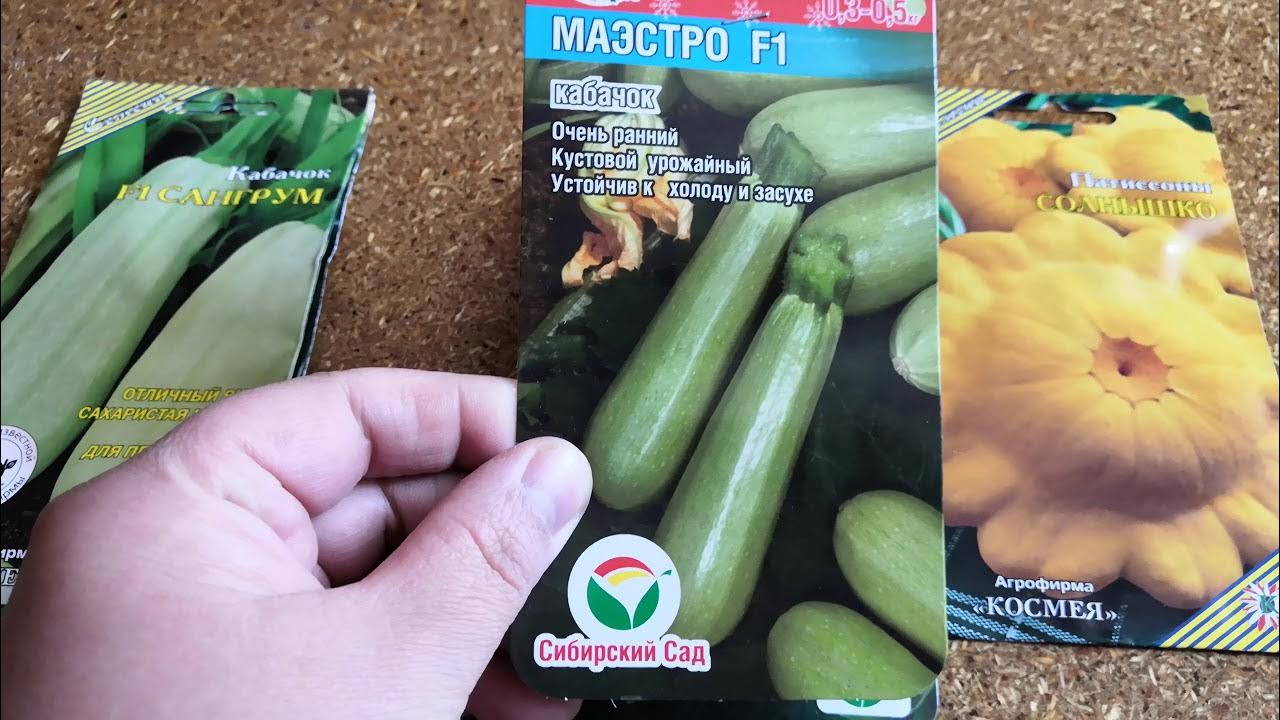 Музыкальный кабачок. Кабачок хьюго f1. Кабачок цуккини полосатый. Кабачок хьюго f1. Овощи кабачок.