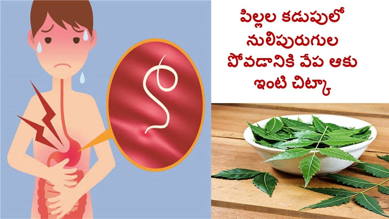 Neem leaf Home Remedy For Intestinal Worms in children Health tips