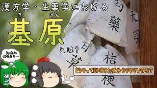 【ゆっくり解説】漢方学における『基原』とは？