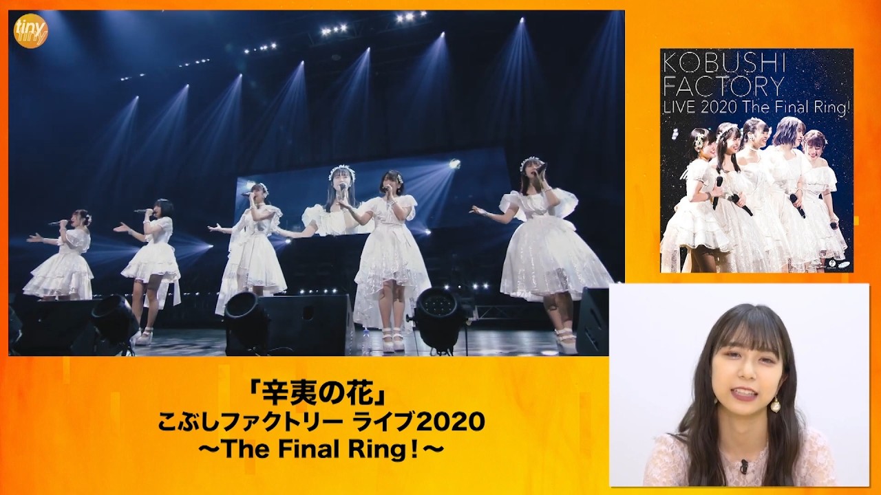 井上玲音が語る「辛夷の花」at ハロ！ステ【Juice=Juice,こぶし