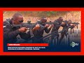 Reba Imyitozo Idasanzwe Itangirwa Mu Kigo Cya Polisi Gihugura Ku Kurwanya Iterabwoba I Mayange Reba Imyitozo Idasanzwe Itangirwa Mu Kigo Cya Polisi Gihugura Ku Kurwanya Iterabwoba I Mayange