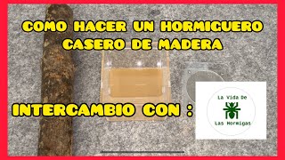 HORMIGUERO CASERO DE MADERA INTERCAMBIO CON LA VIDA DE LAS HORMIGAS